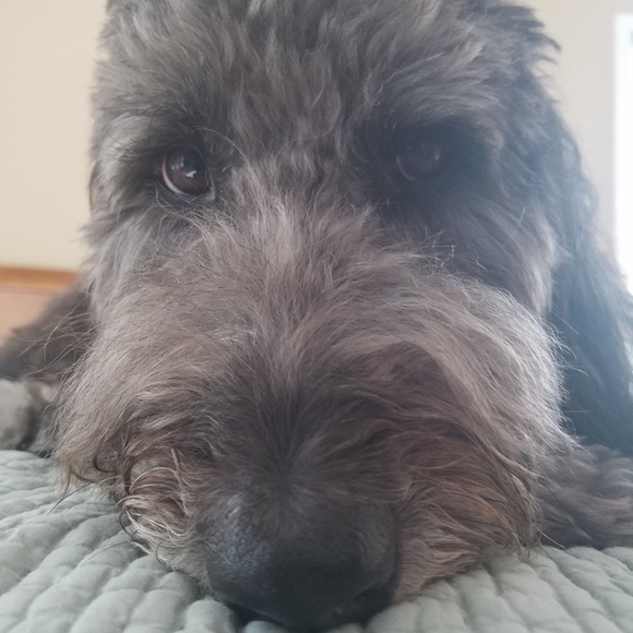 Meet your Posher, Baieliza - Picture 2 of 2